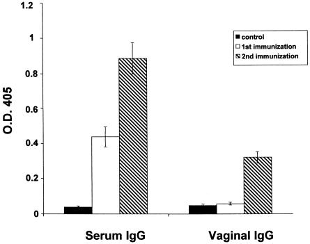 FIG. 5.