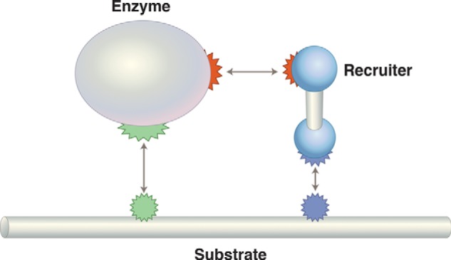 FIGURE 11.