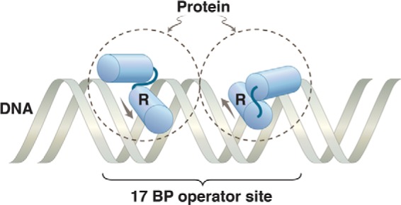 FIGURE 1.