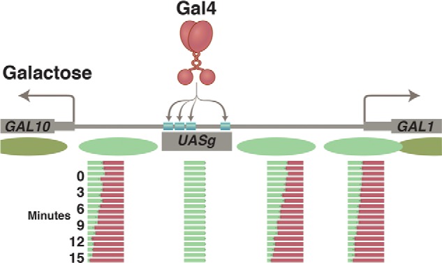 FIGURE 9.