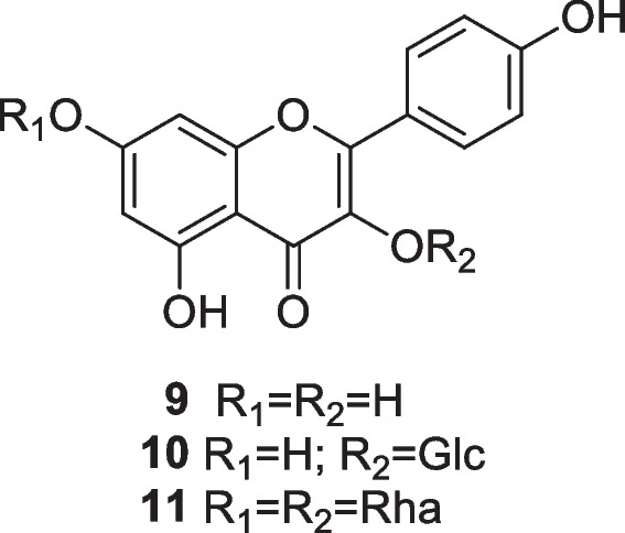 graphic file with name 43450_2023_367_Figc_HTML.jpg