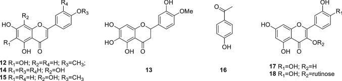 graphic file with name 43450_2023_367_Figd_HTML.jpg