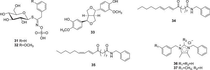 graphic file with name 43450_2023_367_Figf_HTML.jpg