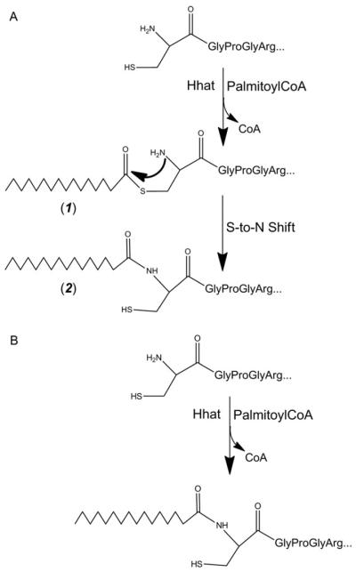 Figure 10.2