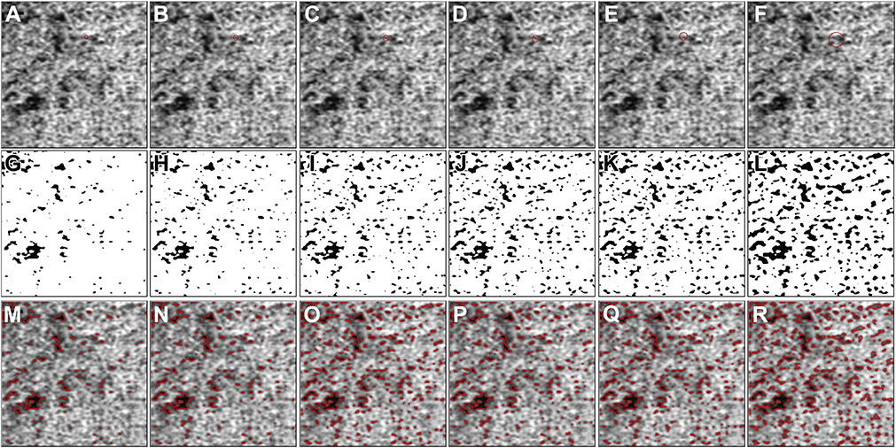 FIGURE 12.