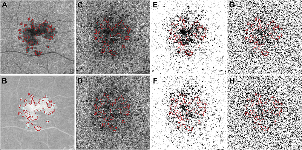 FIGURE 2.