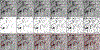 FIGURE 12.