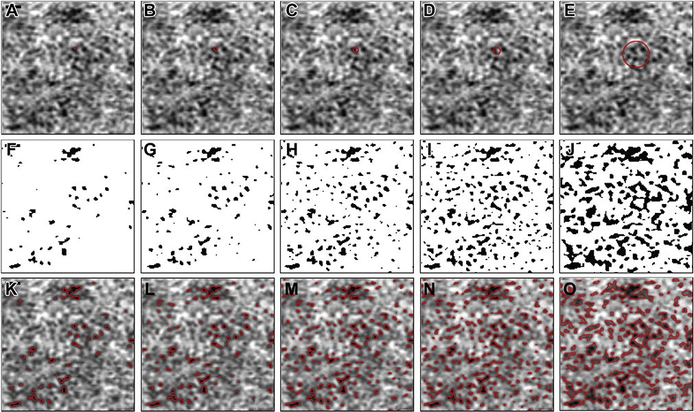 FIGURE 11.