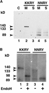 Figure 12.