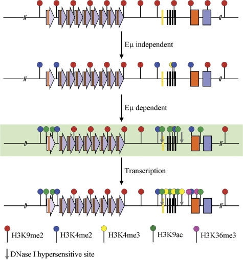 Figure 5.