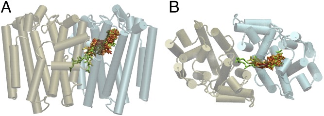 Fig. 5.