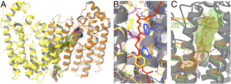 Fig. 6.