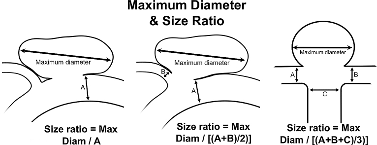 FIGURE 2.