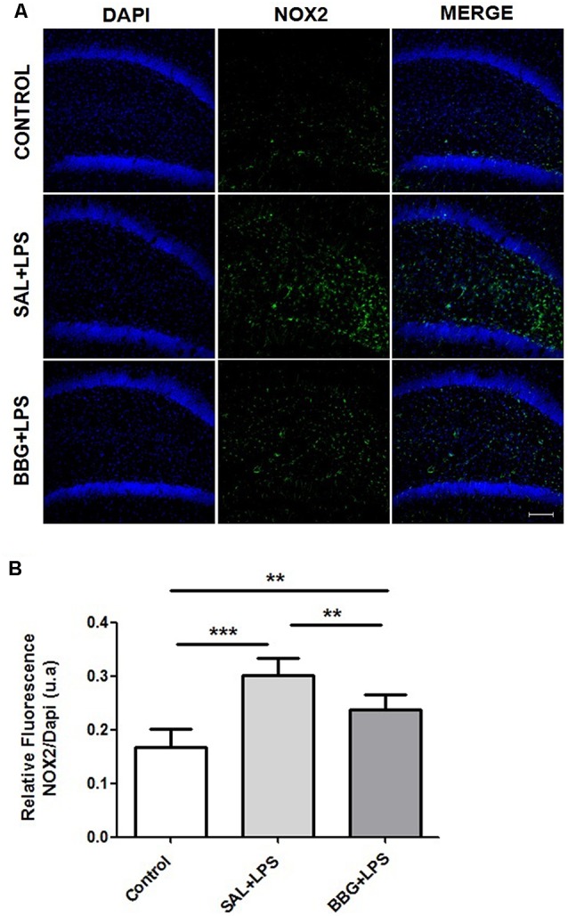 Figure 7