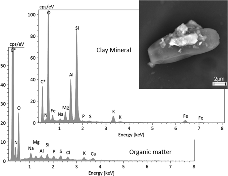 Figure 9