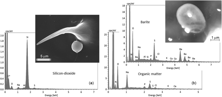 Figure 5