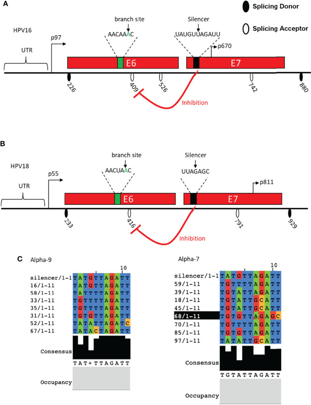 Figure 3