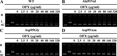 Fig 6