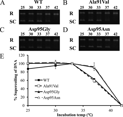 Fig 7