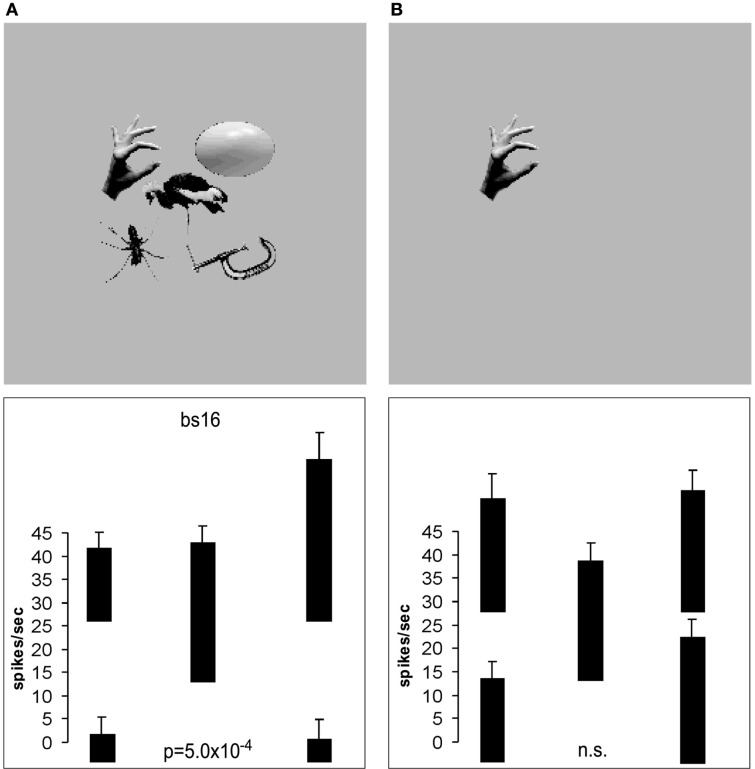 Figure 35