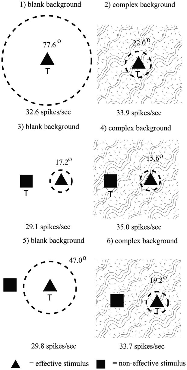 Figure 31