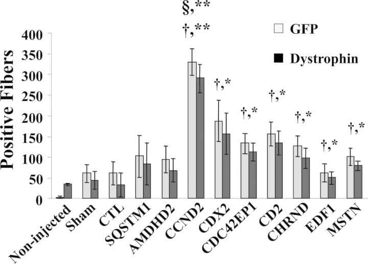 Figure 4.