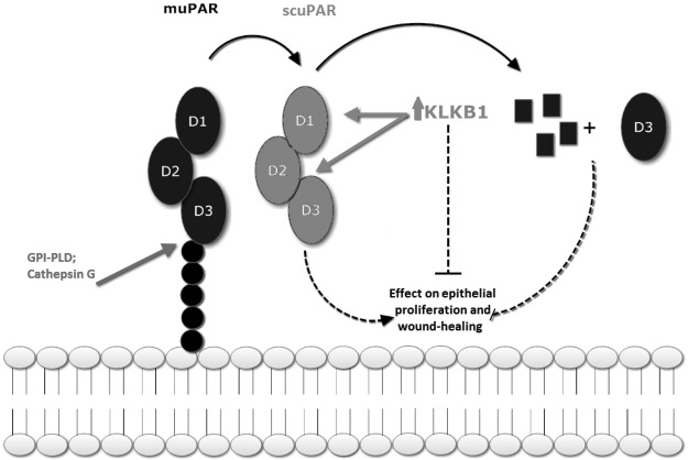 Figure 7.