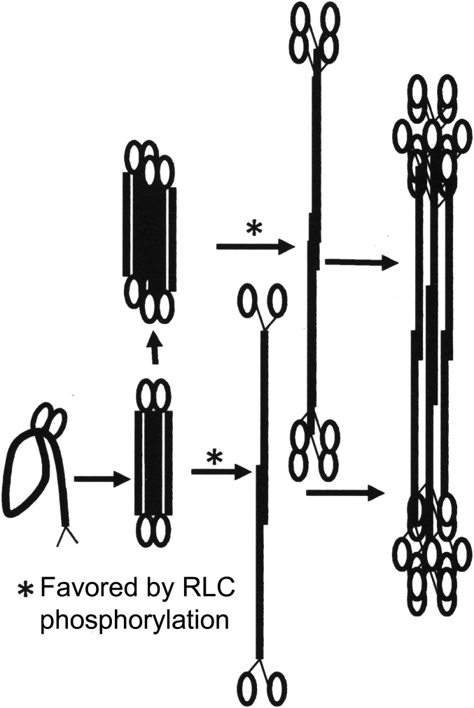 Fig. 10.