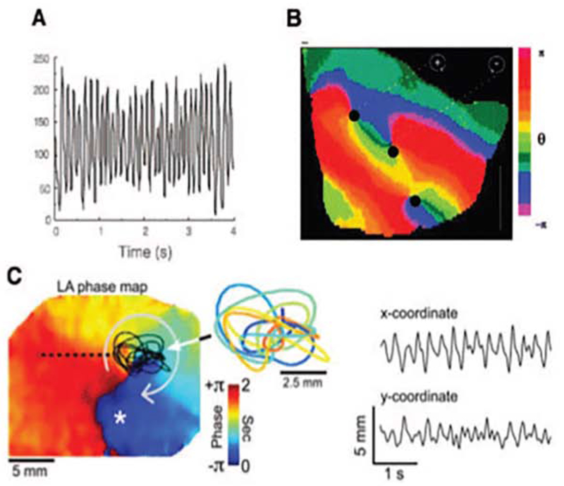 Figure 1: