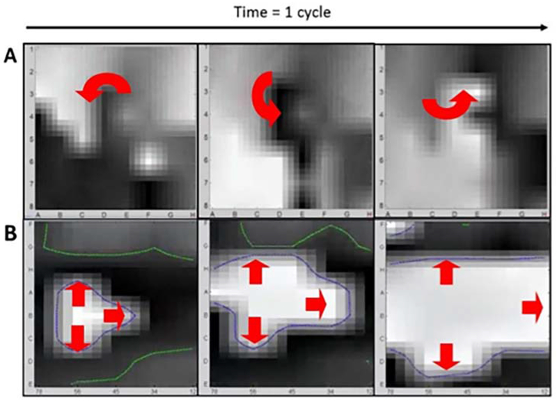 Figure 6: