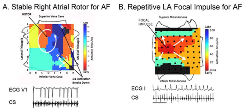 Figure 7.