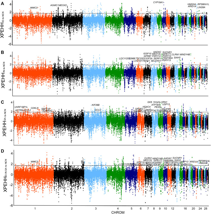 FIGURE 2