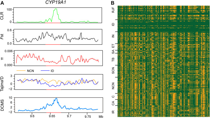 FIGURE 3