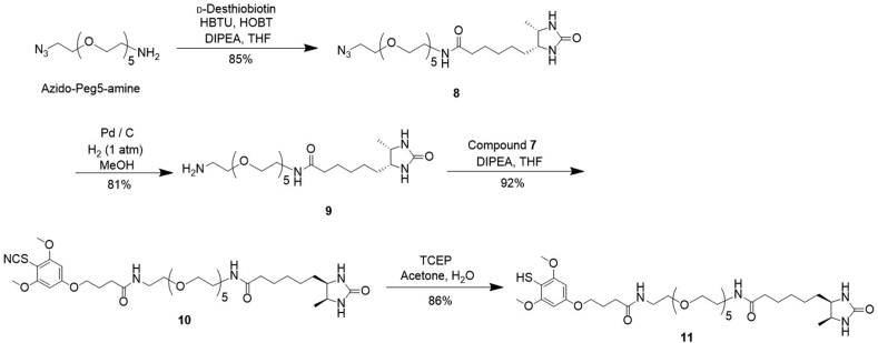 Scheme 2