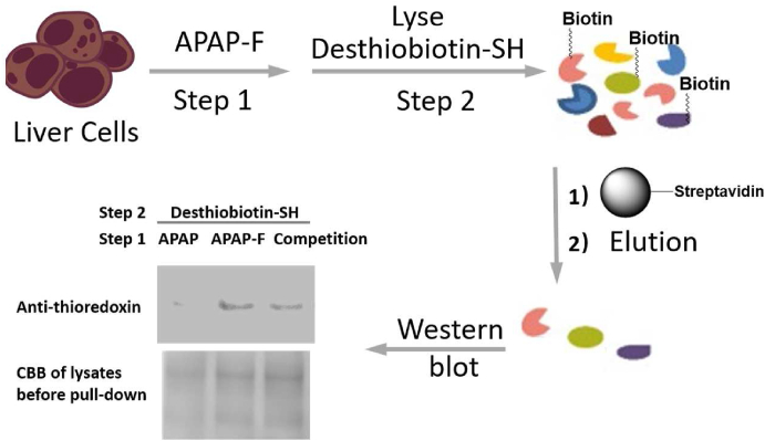 Figure 5