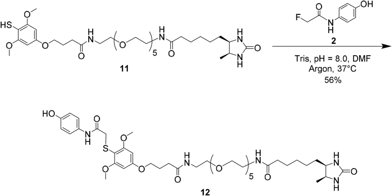 Scheme 3