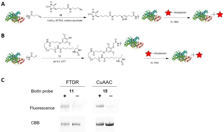 Figure 3