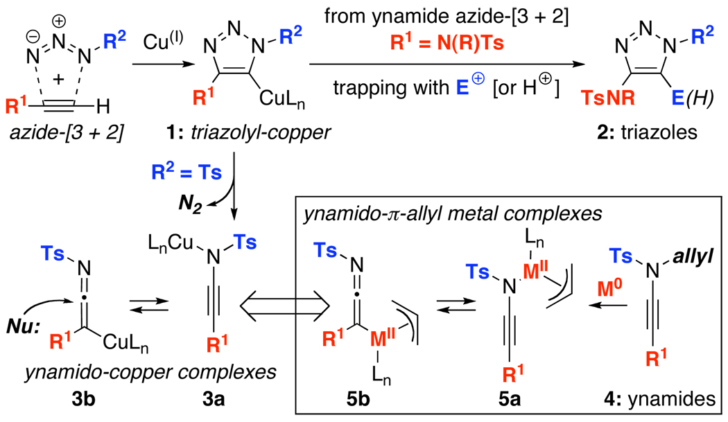 Scheme 1