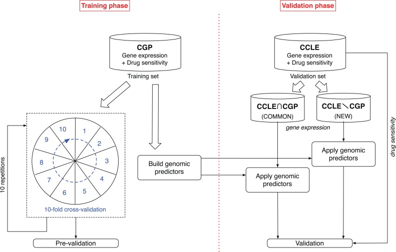 Figure 1