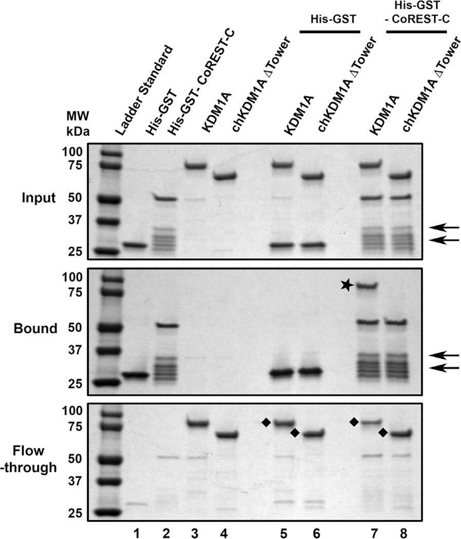 Fig. 5