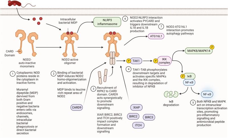 Figure 1.