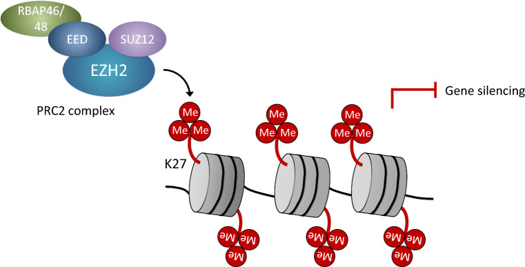 Fig. 2