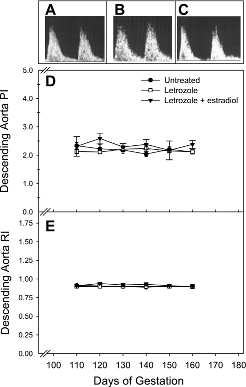 Fig. 8.