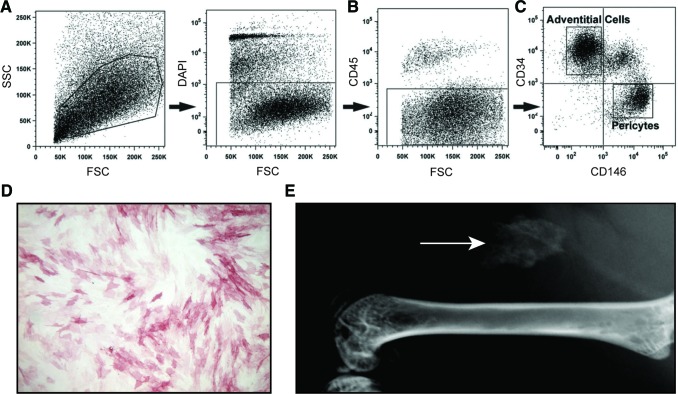 FIG. 1.