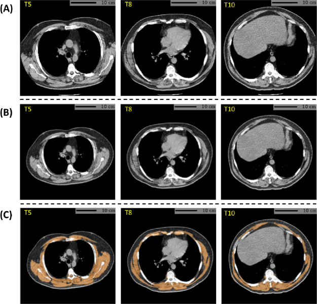 Figure 2: