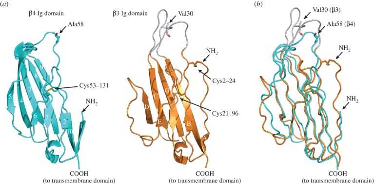 Figure 5.