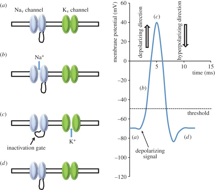 Figure 1.