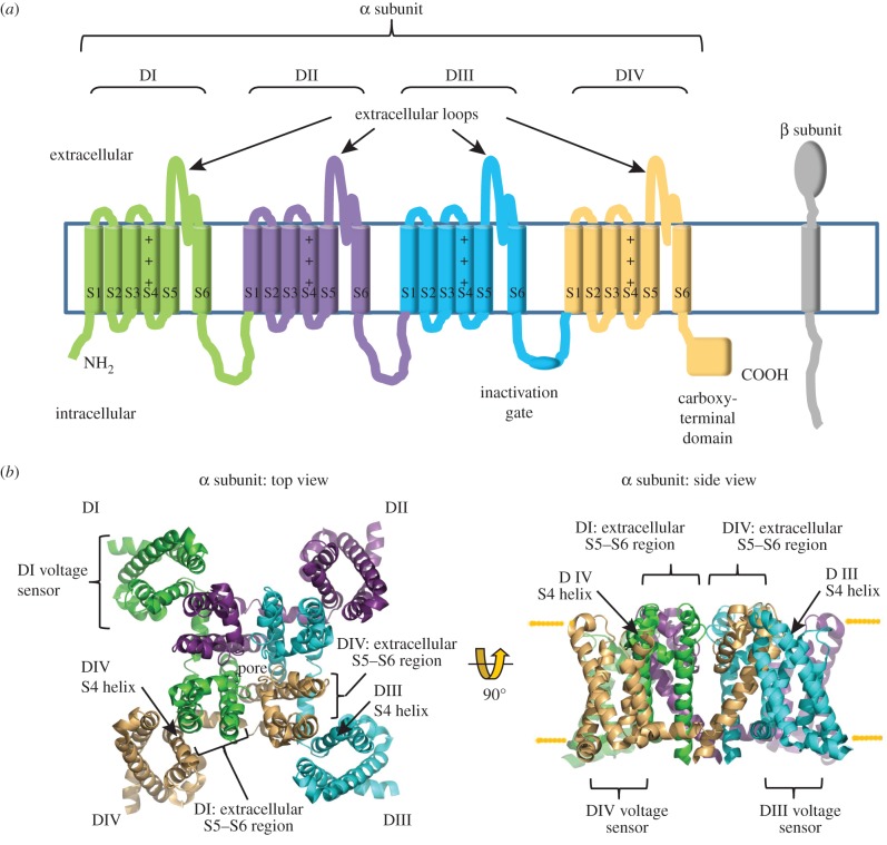 Figure 2.