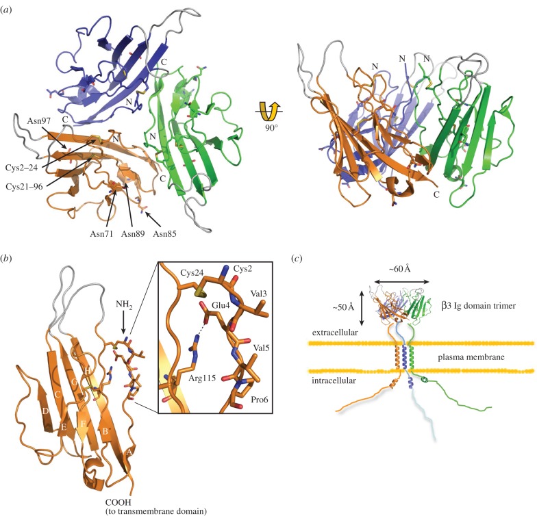 Figure 3.