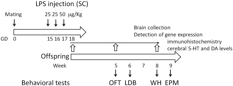 Fig 1